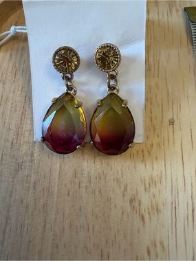 Gold-Setting Teardrop Gradient Earrings in Green & Pink